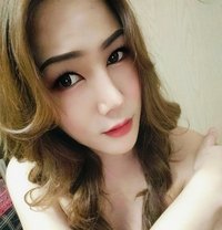 Soda - Acompañante transexual in Phuket