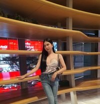 Sodazippy - Acompañantes transexual in Bangkok