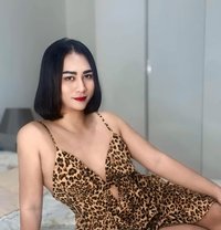 Sofai69 Big dick Vip - Transsexual escort in Al Manama