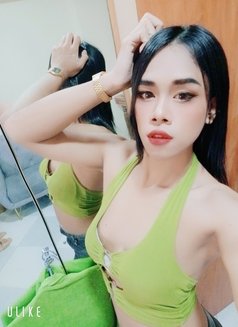 Sofar Ladyboy Thailand 🇹🇭 - Transsexual escort in Al Manama Photo 5 of 5