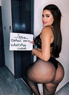 Sofi - escort in Abu Dhabi Photo 2 of 13