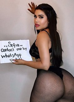 Sofi - escort in Abu Dhabi Photo 4 of 13