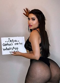 Sofi - escort in Dubai Photo 9 of 10
