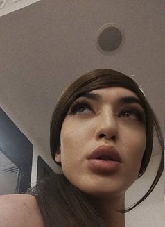 Sofi Younger Both Enjoy 🇷🇺 - Acompañantes transexual in Doha Photo 1 of 5