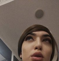 Sofi Younger Both Enjoy 🇷🇺 - Transsexual escort in Doha