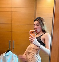 Sofia Bangkok - Transsexual escort in Bangkok