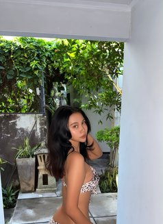 Sofia Beauty and Good Service, Seminyak - escort in Bali Photo 1 of 5