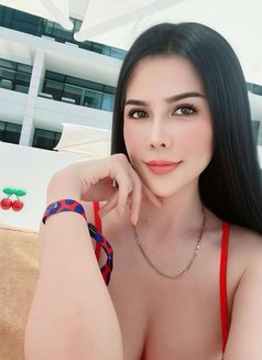 Sofia Best Service Anal - escort in Singapore Photo 6 of 6