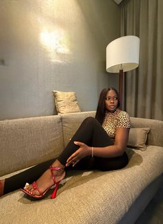 Sofia best services - escort in Dubai Photo 3 of 14