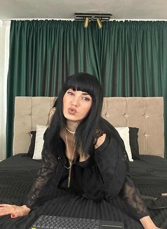 Sofia Bleir - puta in Stockholm Photo 6 of 12