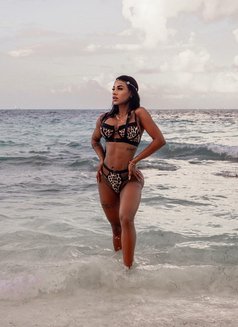 Sofía sexy - escort in Dubai Photo 17 of 28