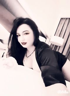 Sofia Curvy Courtesan - escort in Dubai Photo 1 of 9