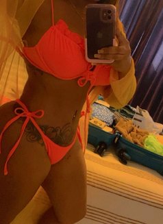 Sofia - escort in Barbados Photo 1 of 4