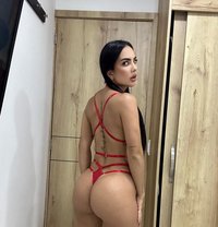 Sofia - escort in Al Manama