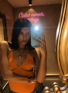Sofia - escort in Dubai Photo 1 of 2