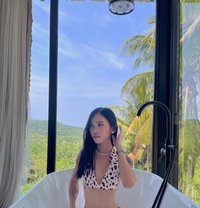 Sofia - Transsexual escort in Cebu City