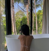 Sofia - Transsexual escort in Cebu City