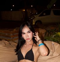 Sofia - Transsexual escort in Manila