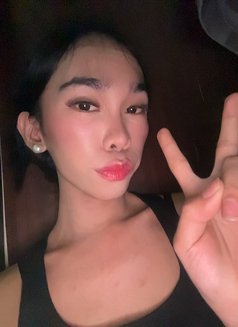 Sofia - Acompañantes transexual in Manila Photo 5 of 7