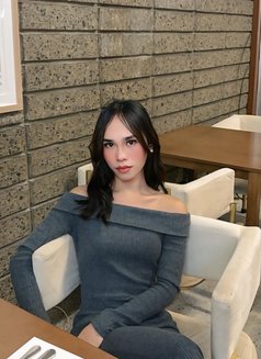 Sofia - Acompañantes transexual in Manila Photo 7 of 7