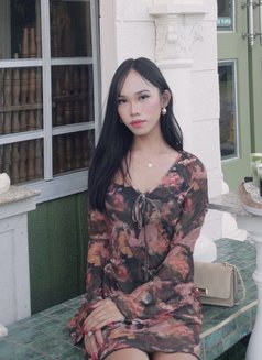Sofia - Transsexual escort in Manila Photo 1 of 3