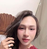 Sofia - Transsexual escort in Muscat