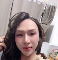 Sofia - Transsexual escort in Muscat