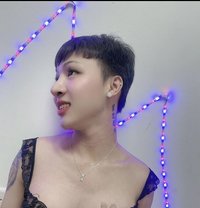 Sofia - Transsexual escort in Muscat