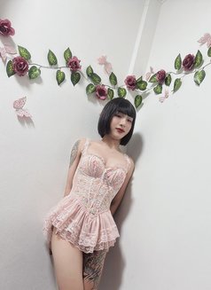 Sofia - Transsexual escort in Muscat Photo 3 of 3