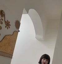 Sofia - Transsexual escort in Muscat