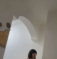 Sofia - Transsexual escort in Muscat