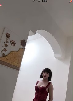 Sofia - Acompañantes transexual in Muscat Photo 5 of 6