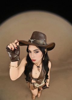 Sofia - Transsexual escort in Riyadh Photo 5 of 5