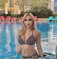 SOFİA FOX BIG DICK and CUM - Acompañantes transexual in Dubai