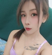SOFIA THAILAND GIRL FULL SERVICE - escort in Muscat Photo 14 of 14