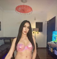 SOFIA 🇹🇭 good top bigcock 7’ - Acompañantes transexual in Al Manama
