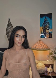 SOFIA πΉπ good top bigcock 7β - Transsexual escort in Al Manama Photo 27 of 27