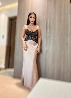 Sofia Hot Lady in Arjan Next to Jvc - escort in Dubai Photo 10 of 13