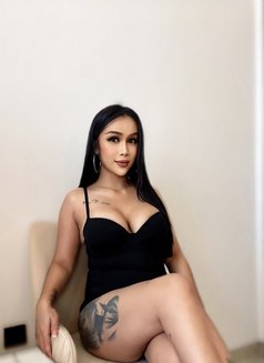 Sofia Hot Lady Thailand (anal) in jvc - escort in Dubai Photo 7 of 14