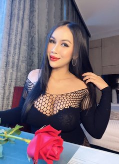 Sofia Hot Lady Thailand (anal) - puta in Dubai Photo 13 of 16