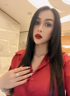 Sofia Hot Lady Thailand - escort in Dubai Photo 5 of 10