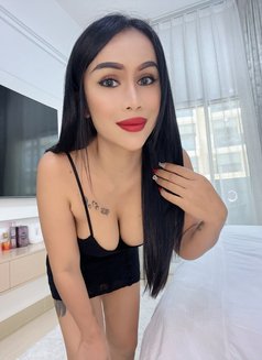 Sofia Hot Lady Thailand - escort in Dubai Photo 11 of 12