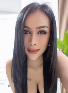 Sofia Hot Lady Thailand - escort in Dubai Photo 9 of 12
