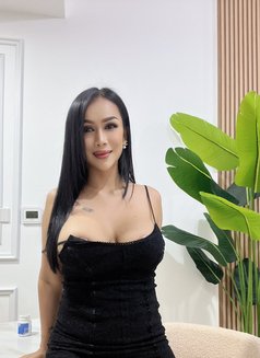 Sofia Hot Lady Thailand - escort in Dubai Photo 12 of 12