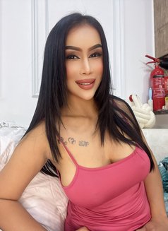 Sofia Hot Lady Thailand - escort in Dubai Photo 1 of 10