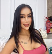 Sofia Hot Lady Thailand - escort in Dubai