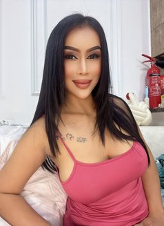 Sofia Hot Lady Thailand - escort in Dubai Photo 2 of 10