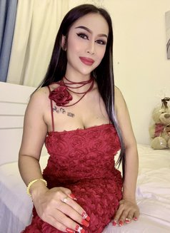 Sofia Hot Lady Thailand - puta in Dubai Photo 5 of 8