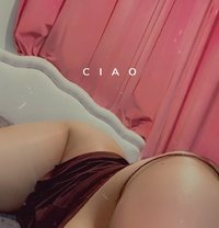 Sofia🦋 - escort in Muscat