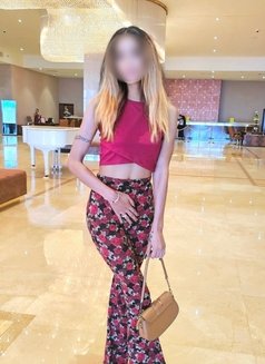 Sofia Independent GFE Meets - escort in Colombo Photo 28 of 30